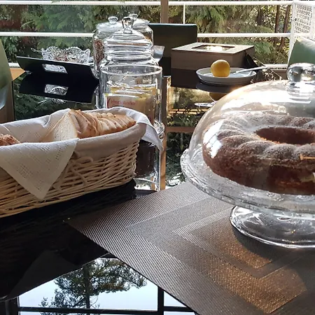 Gotti Charming Bolonia